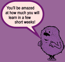 You'll be amazed at how much you will learn in a few short weeks!